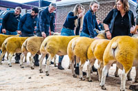 Longtown Ram Fair-48